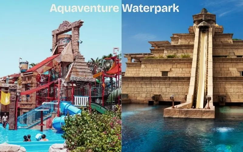 Waterpark slides at atlantis dubai aquaventure family attraction
