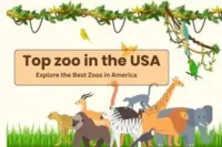 Best Zoos in the United States: Top 25 Must-Visit Parks Kids Will Love