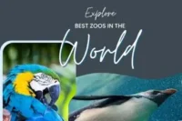 10 Best Zoos in the World Ranked (Largest, Most Visited & Family-Friendly)