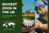 Explore the Top 5 Biggest Zoos in the UK by Size - Post Thumbnail