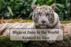 10 Biggest Zoos in the World Every Animal Lover Should Visit - Post Thumbnail