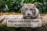 10 Biggest Zoos in the World Every Animal Lover Should Visit