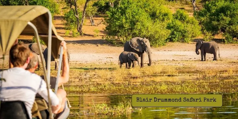 Blair drummond safari park  best safari park in scotland.