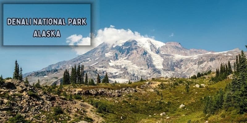 Denali national park with vast wilderness and mountain views in alaska