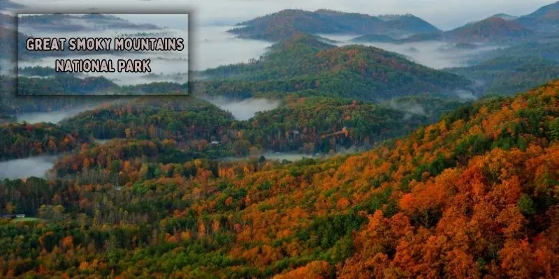 Misty mountain layers in great smoky mountains national park