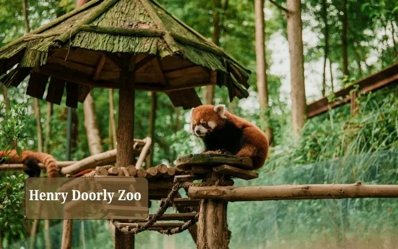 Desert dome and indoor rainforest habitats at omaha zoo usa