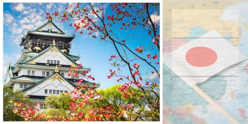 Cherry blossoms framing mount fuji under a clear sky in japan.