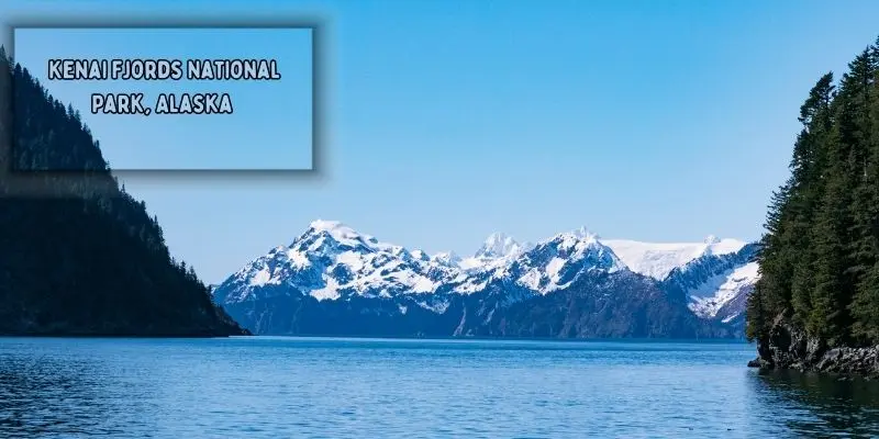 Glacier-carved fjords and icy waters in kenai fjords national park, alaska