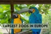 Top Largest Zoos in Europe – See Which is the Biggest - Post Thumbnail