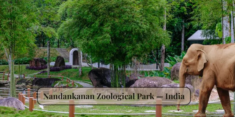 10 Biggest Zoos In The World Every Animal Lover Should Visit Nandankanan zoological park india white tigers lions elephants