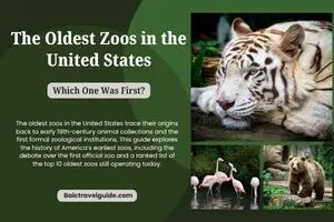Oldest Zoos in the United States: First Zoo in America, History & Top 10 List