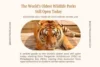 Oldest Zoos in the World Still Operating as Public Zoos Today - Post Thumbnail