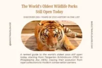 Oldest Zoos in the World Still Operating as Public Zoos Today