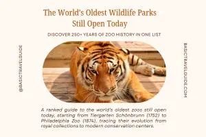 Oldest Zoos in the World Still Operating as Public Zoos Today