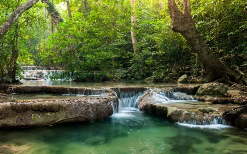 Phong nha ke bang cave landscape vietnam
