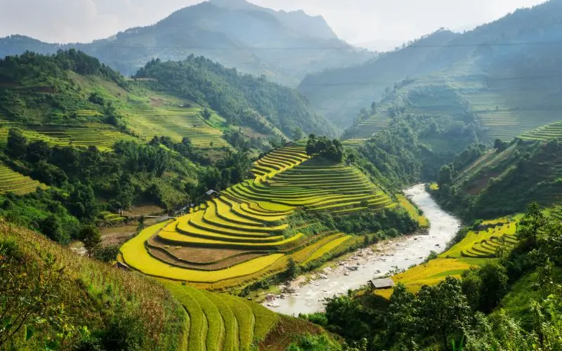 Sapa rice terraces and mountain landscape