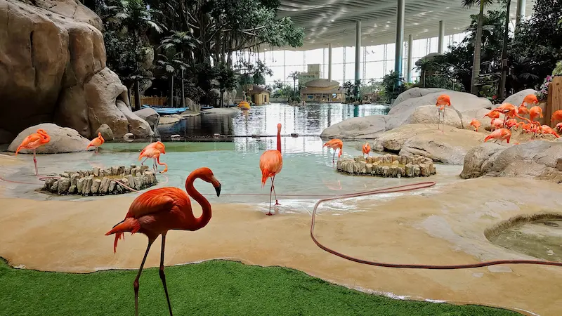 Sea world yas island