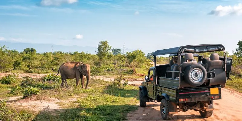 Seoul zoo in south korea spans extensive grounds and exotic species, listed in the asia zoo rankings