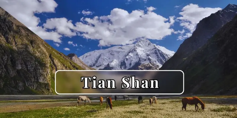 Remote valley in the tian shan range with grazing horses