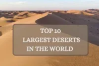 What Is the Largest Desert in the World? Top 15 Ranked by Size