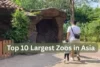 Largest Zoos in Asia Ranked by Area, Animals & Experiences - Post Thumbnail