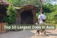 Largest Zoos in Asia Ranked by Area, Animals & Experiences