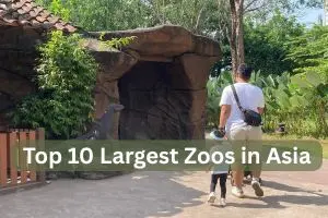 Largest Zoos in Asia Ranked by Area, Animals & Experiences