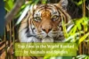 Which Zoo Has the Most Animals in the World? - Post Thumbnail