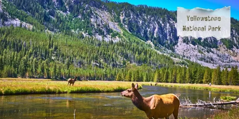 Explore The 20 Best Weekend Getaways In The Usa Entrance to yellowstone national park near cody, wyoming