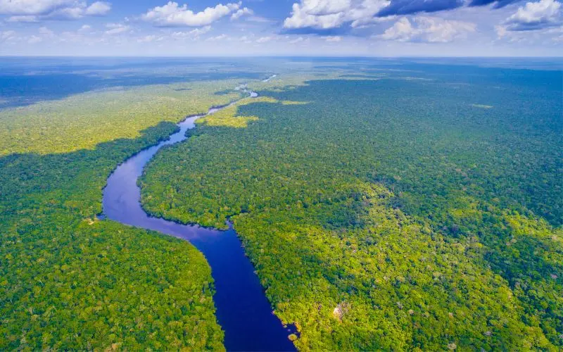 Best time to visit amazon rainforest in brazil