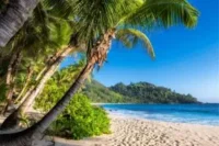 Best Beaches in Asia for Your Next Tropical Adventure