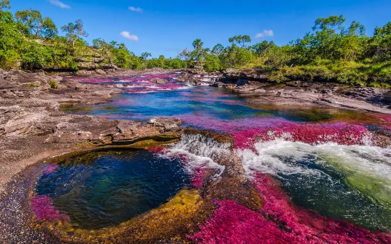 Colorful waters of caño cristales, the river of five colors