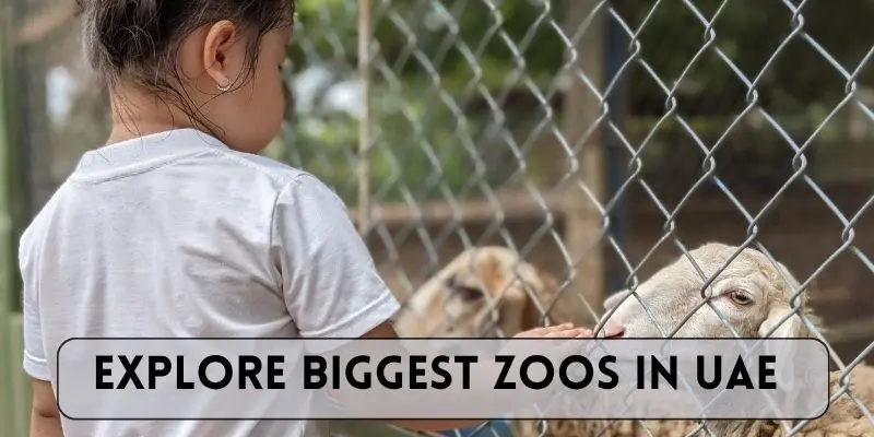 Biggest zoos in uae