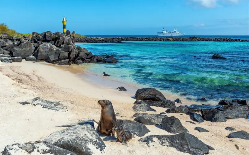 The 12 Best Countries To Visit In South America Galapagos islands in ecuador with unique wildlife and natural landscapes
