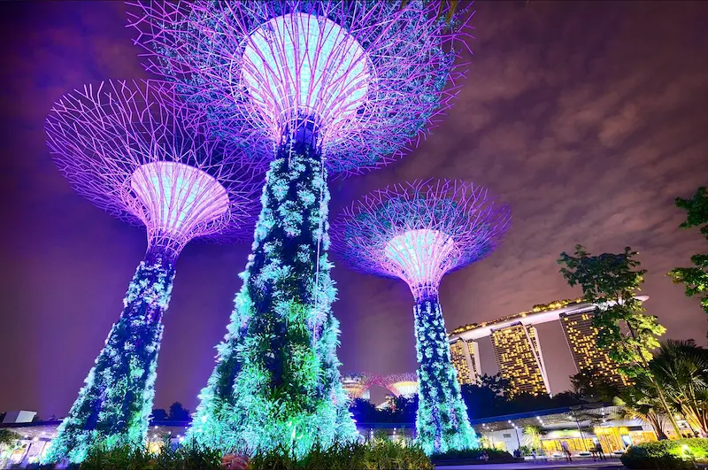 Gardens by the bay supertree grove illuminated at night in singapore