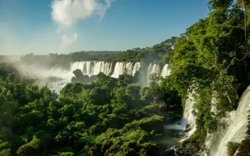Iguazu falls surrounded by lush rainforest in argentina and brazil