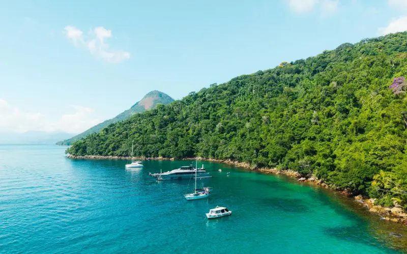 Ilha grande beach and rainforest in brazil