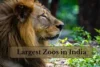 Top 10 Largest Zoos in India – Complete List by Area - Post Thumbnail