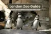 London Zoo Facts, History & Hidden Stories You Didn’t Know - Post Thumbnail