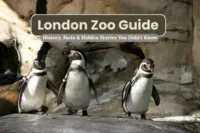 London Zoo Facts, History & Hidden Stories You Didn’t Know