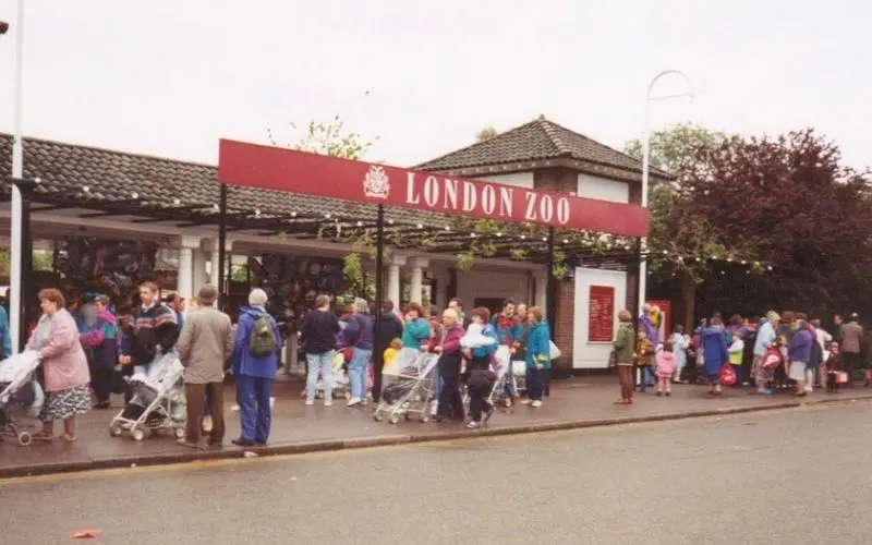 London zoo regent’s park view showing zoo grounds and pathways