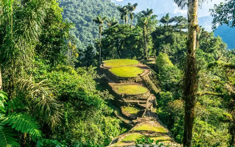 Ancient stone terraces at the lost city (ciudad perdida) in colombia