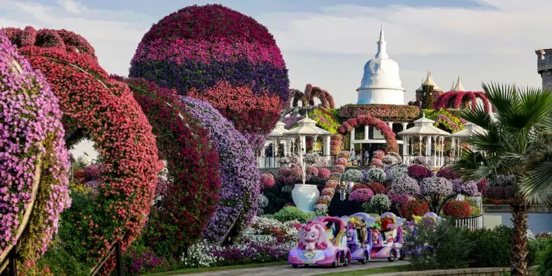 Dubai miracle garden flowers and floral displays in dubai