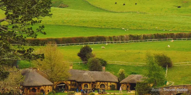 Scenic view of new zealand’s forests with landscape.