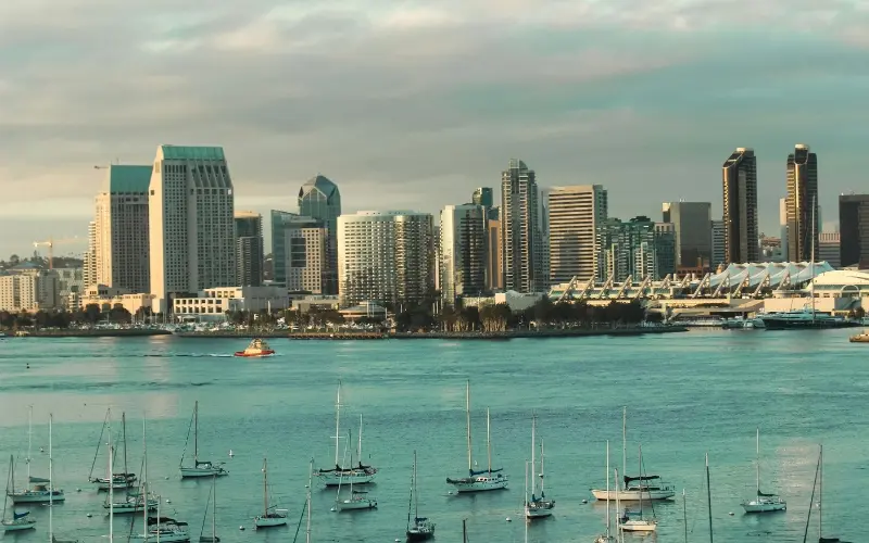 12 Best Things To Do In San Diego San diego harbor cruise with downtown skyline views