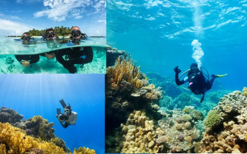 Snorkeling and scuba diving in the clear waters of thailand