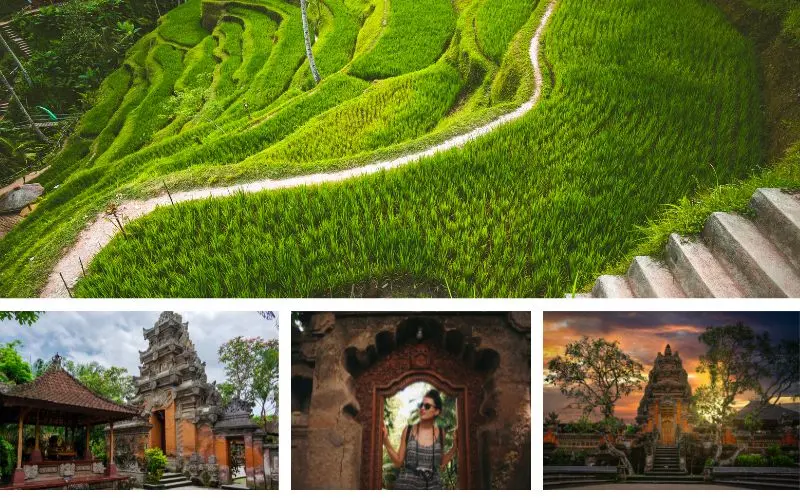 Ubud bali 1