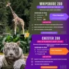 Whipsnade Zoo vs Chester Zoo: Which UK Zoo Should You Visit? - Post Thumbnail