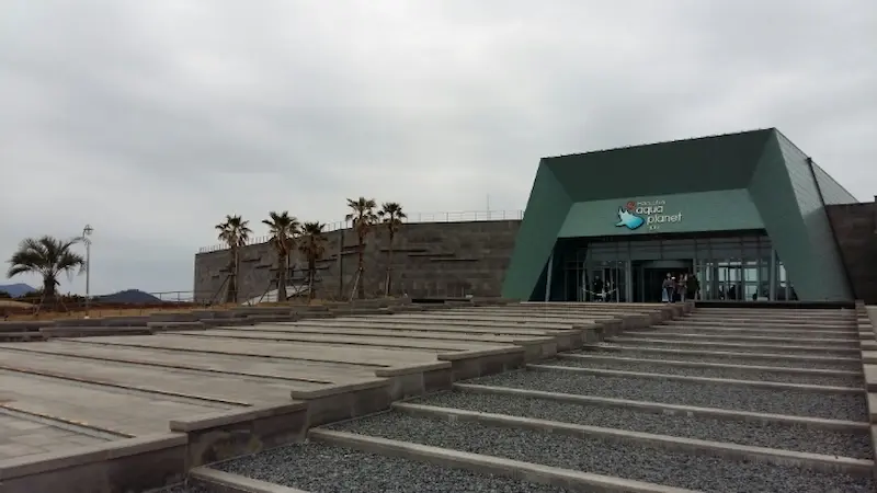 Aqua planet jeju aquarium interior showing marine life and large tanks, jeju, south korea